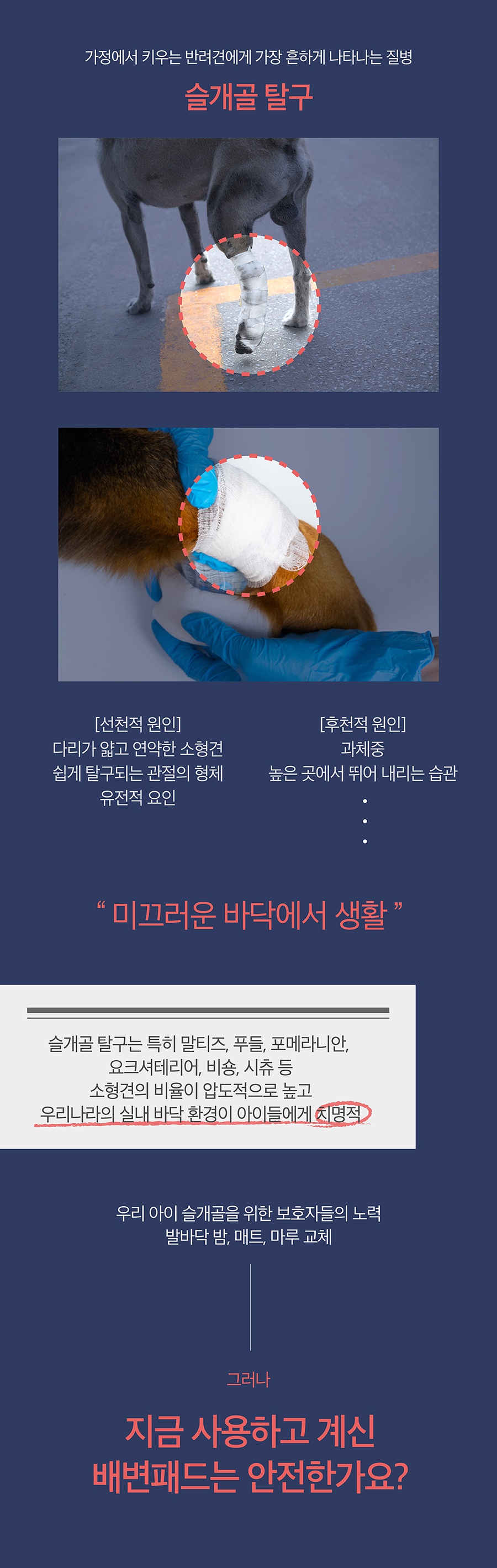 닥터설 논슬립 패드 (표준형 50매/대형 20매)-상품이미지-1