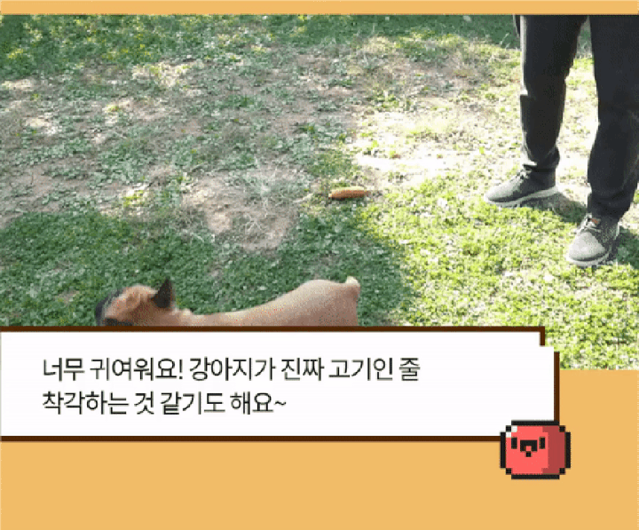 헌팅마켓 파워업 고기 3종-상품이미지-1
