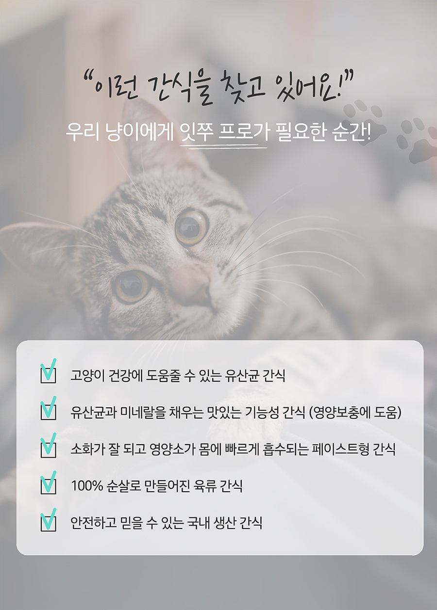 it 잇쭈 프로 캣 구강 (8개입)-상품이미지-0