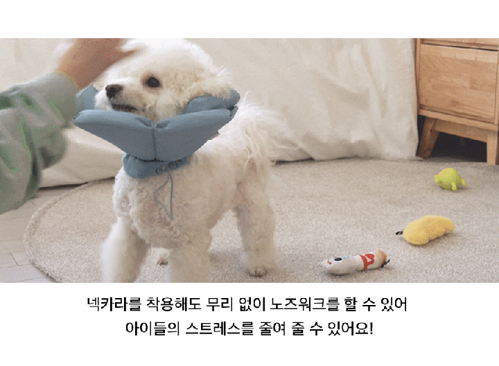 닥터설 각도조절 넥카라 (옐로우/블루/네이비)-상품이미지-11