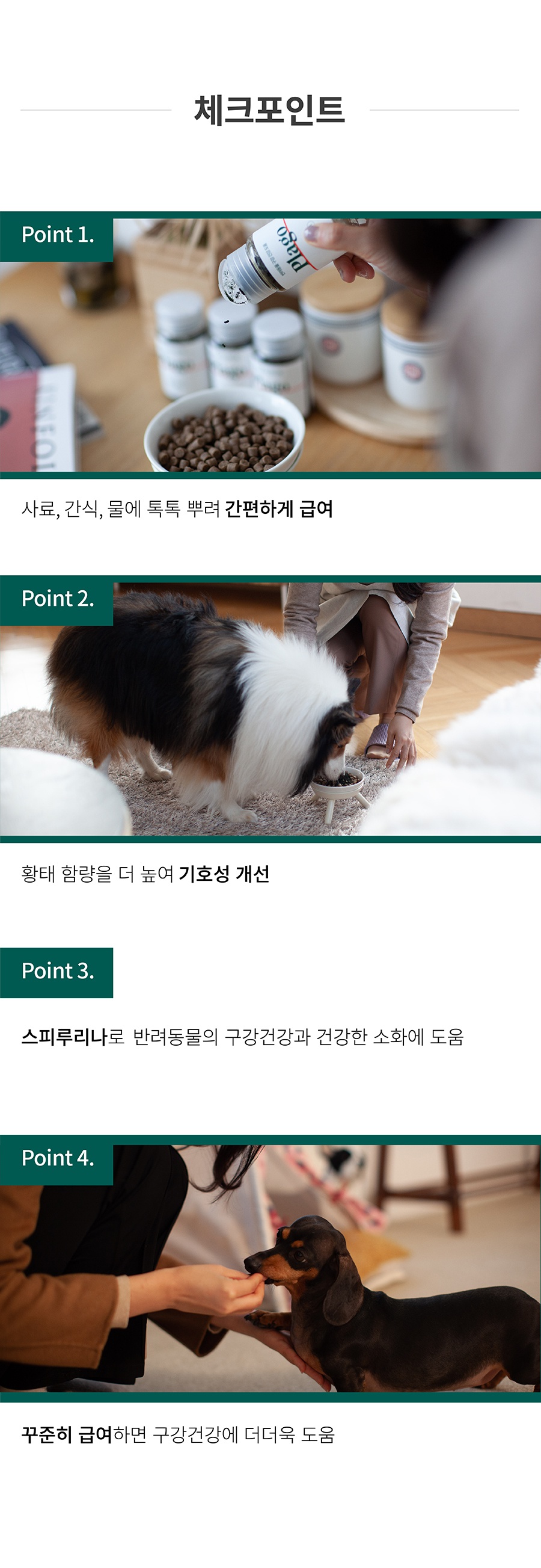 플라고 파우더 대용량 (45g*4개)-상품이미지-5