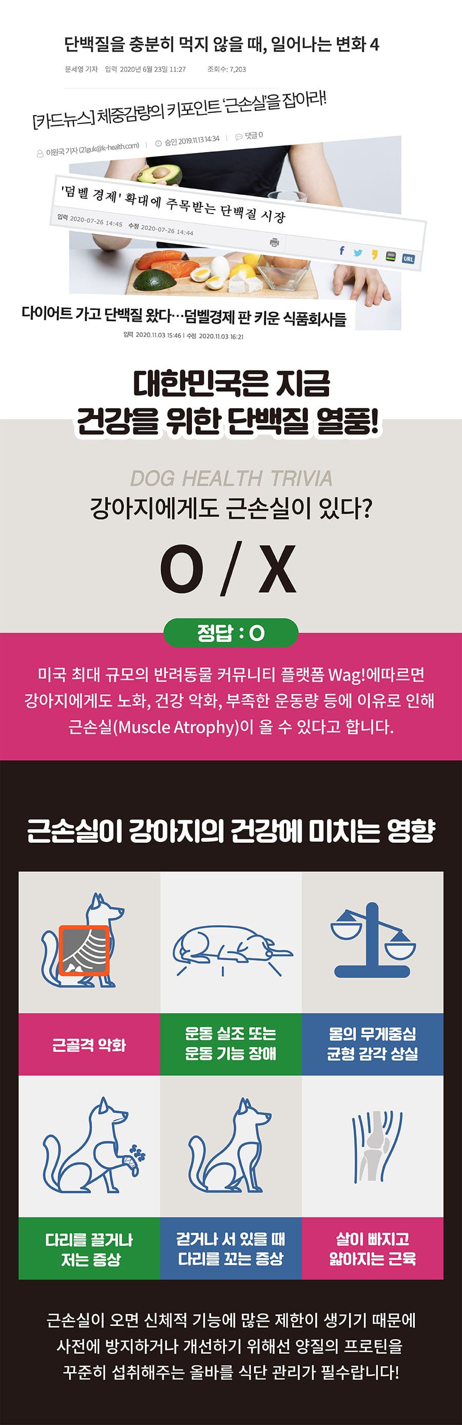 it 잇츄 프로틴 퍼피 (피모/구강/면역)-상품이미지-2