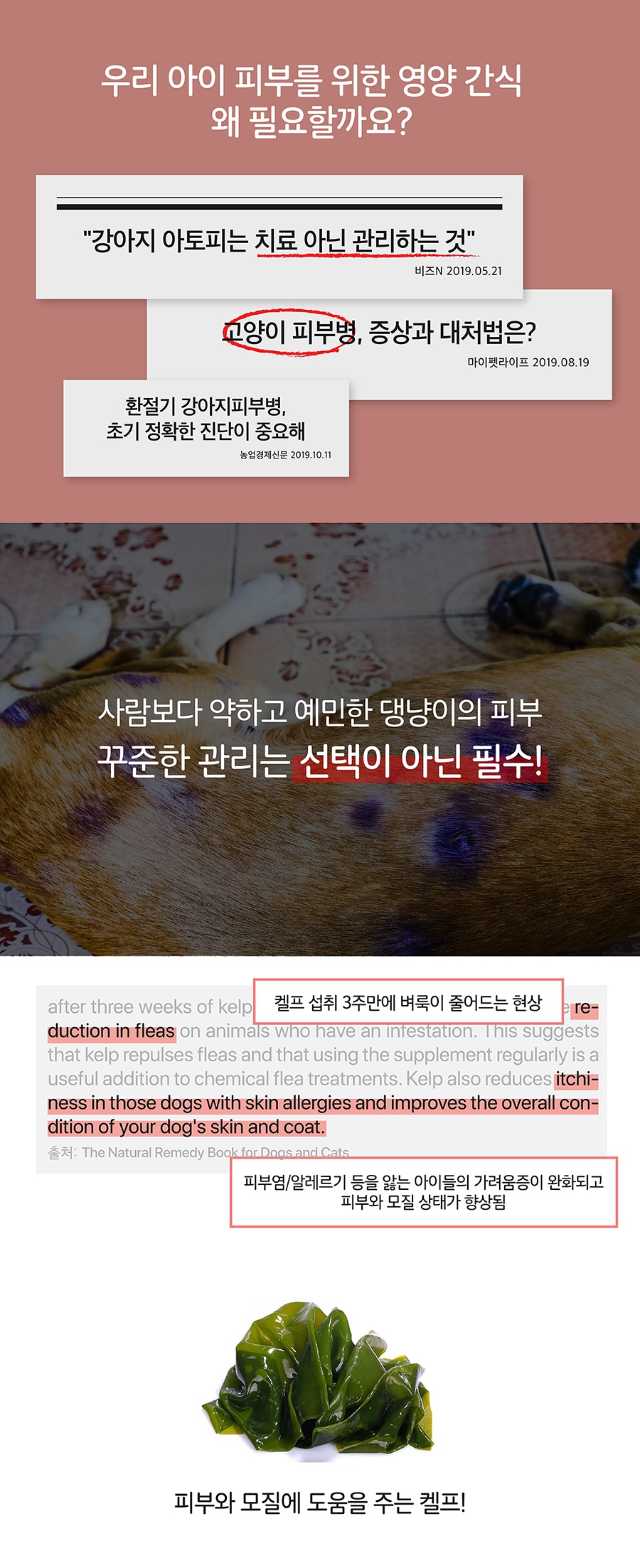 it 잇쭈 피부 (8개입)-상품이미지-3