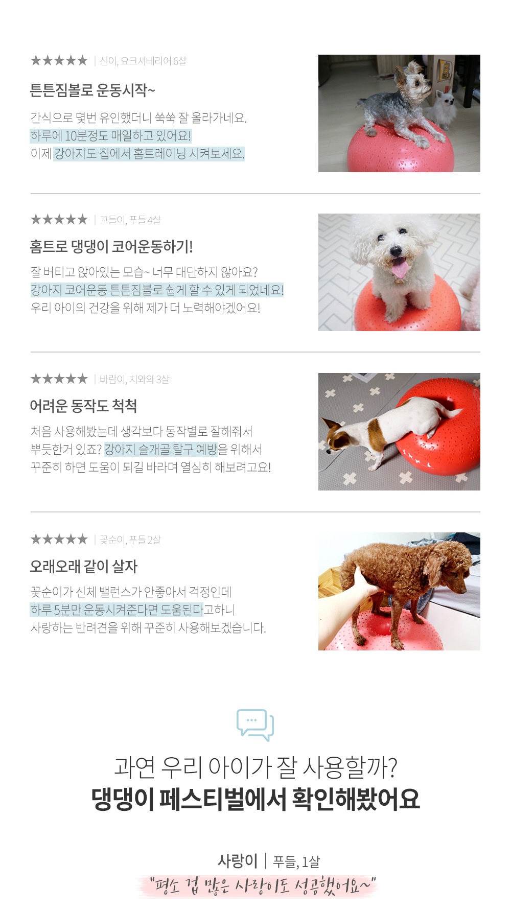 반려견 운동기구 튼튼짐볼+홀더 (단품/세트)-상품이미지-24